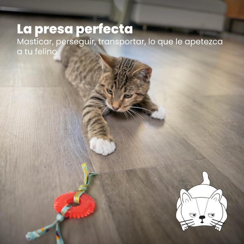 Catstages Kitty Chew Vermelha Brinquedo Roda Mordedora para gatos,  Imagem número 2 Catstages Kitty Chew Vermelha Brinquedo Roda Mordedora para gatos, , large Imagem número 2