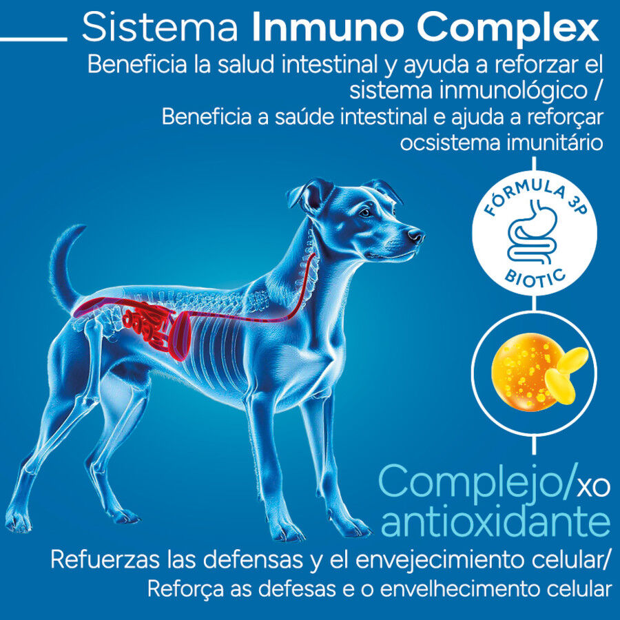 Criadores Cient&iacute;fico Adulto Mini Ra&ccedil;&atilde;o de frango para c&atilde;es, , large Imagem n&uacute;mero 3