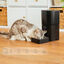 Cecotec Pumba 6000 Purrfect Meal Comedouro automático inteligente para cães e gatos, , large Indicador imagem número 6