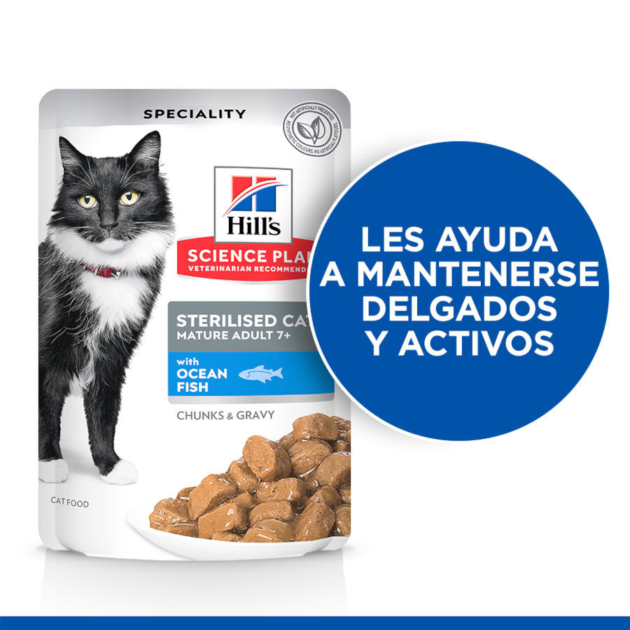 48 saquetas x 85 g Hill's Science Plan Sterilised Mature Peixe Oce&aacute;nico saqueta de molho para gatos Pack poupan&ccedil;a!, , large Imagem n&uacute;mero 3