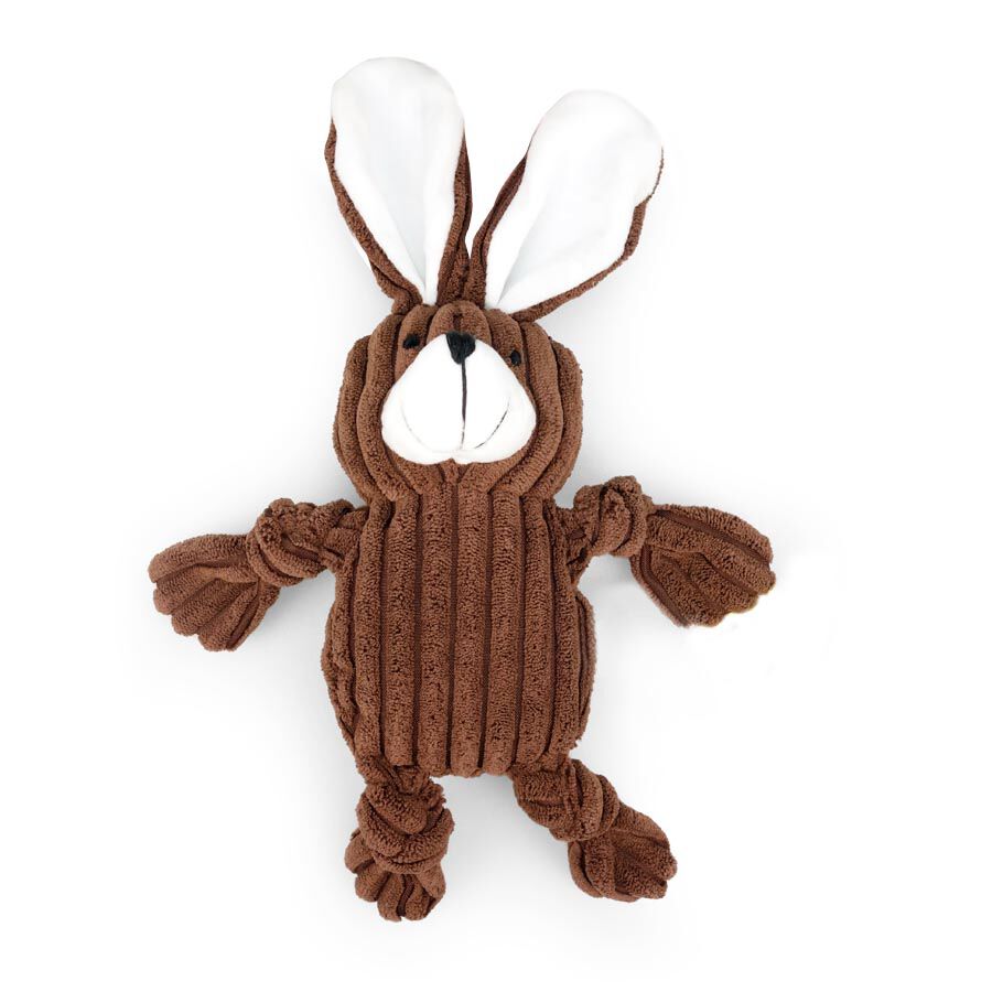 Play&Bite Urso de Peluche para c&atilde;es, , large Imagem n&uacute;mero 1