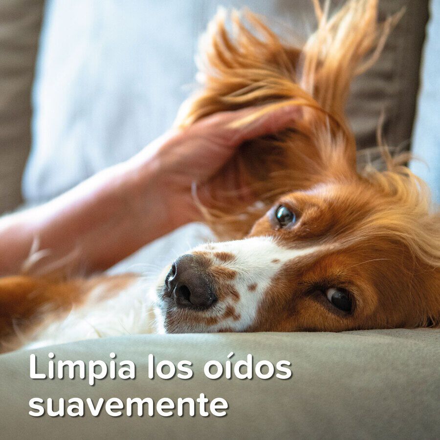 Beaphar Limpador de Orelhas para animais de estima&ccedil;&atilde;o, , large Imagem n&uacute;mero 6
