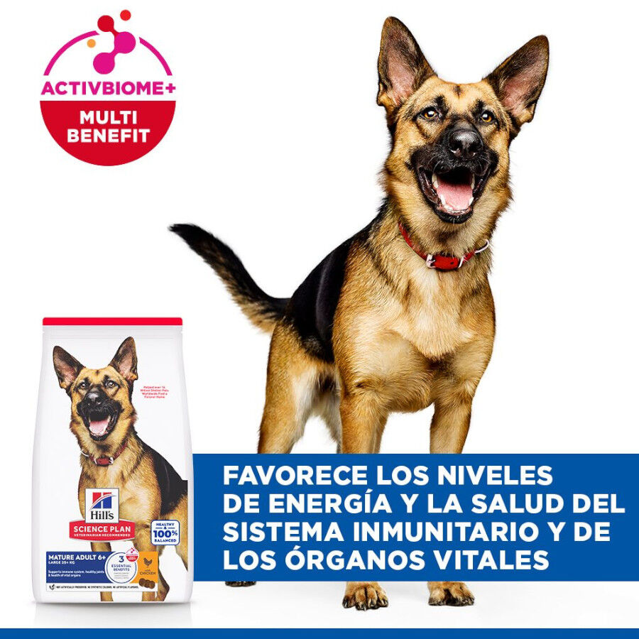 14 kg Hill's Science Plan Mature Adult Large Frango ra&ccedil;&atilde;o para c&atilde;es, , large Imagem n&uacute;mero 4