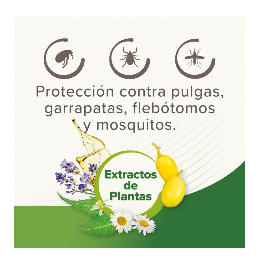 Beaphar Pipetas Repelentes para c&atilde;es, , large Imagem n&uacute;mero 4