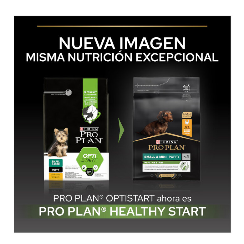 Pro Plan Puppy Small & Mini Healthy Start Frango ração, , large image number null