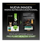 Pro Plan Puppy Small & Mini Healthy Start Frango ração, , large image number null