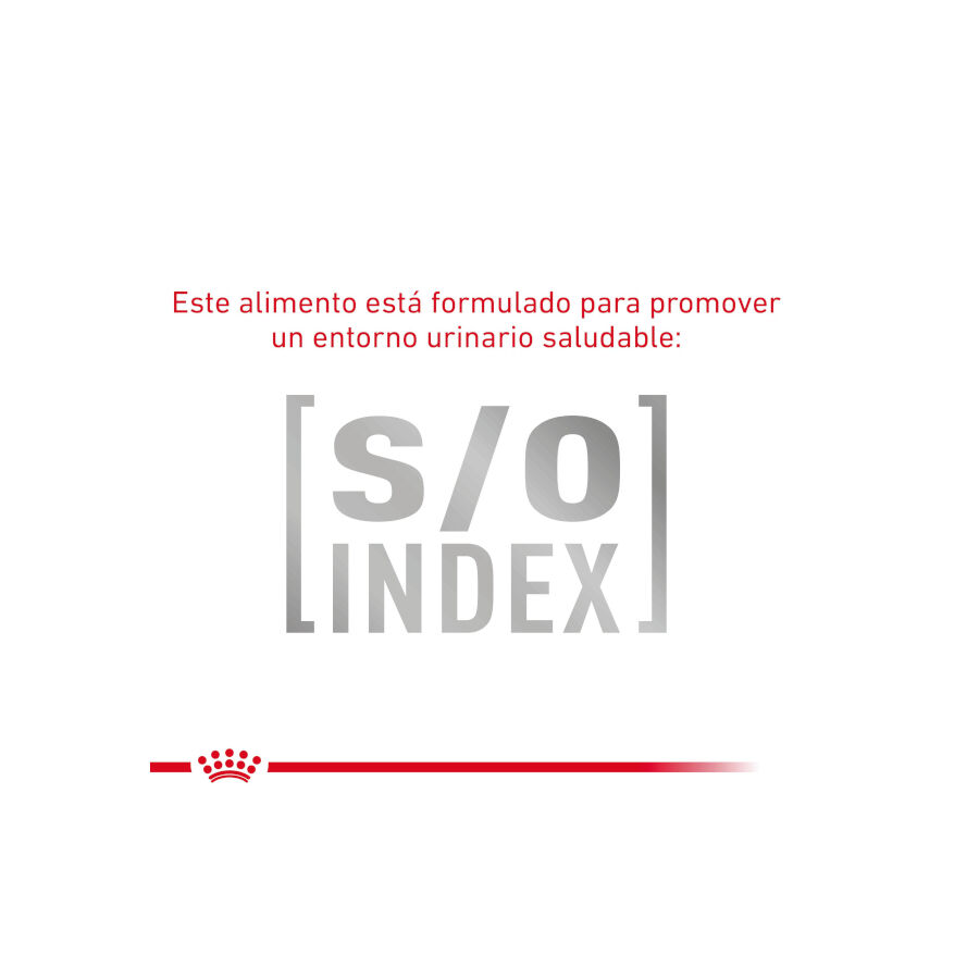 8 kg Royal Canin GastroIntestinal Low Fat Ra&ccedil;&atilde;o para c&atilde;es pequenos, , large Imagem n&uacute;mero 5