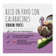 400 g Beyond Grain Free peru lata para cães, , large Indicador imagem número 2