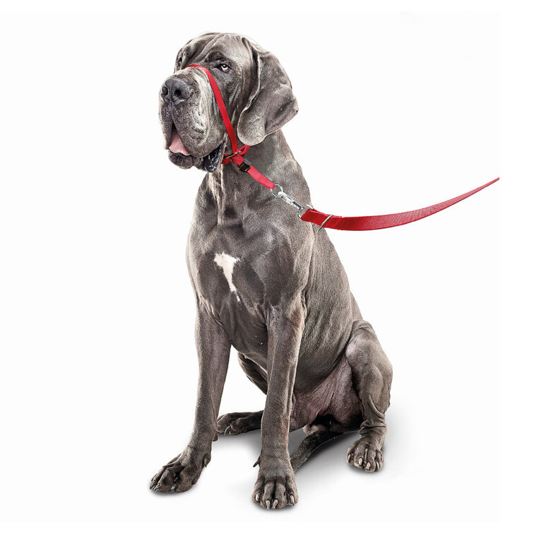 Beaphar Gentle Leader Açaime vermelho para cães, , large image number null