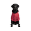 Gotoo Casaco Imperme&aacute;vel Refletor Vermelho para c&atilde;es, , large Indicador imagem n&uacute;mero 7