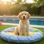 Summer Vibes Round Cool Mat Lemon Cama Refrescante para c&atilde;es, , large Indicador imagem n&uacute;mero 1