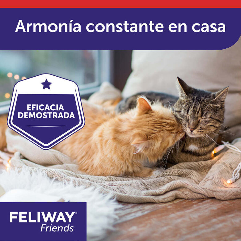 Feliway Friends Difusor + Recarga para gatos, , large image number null