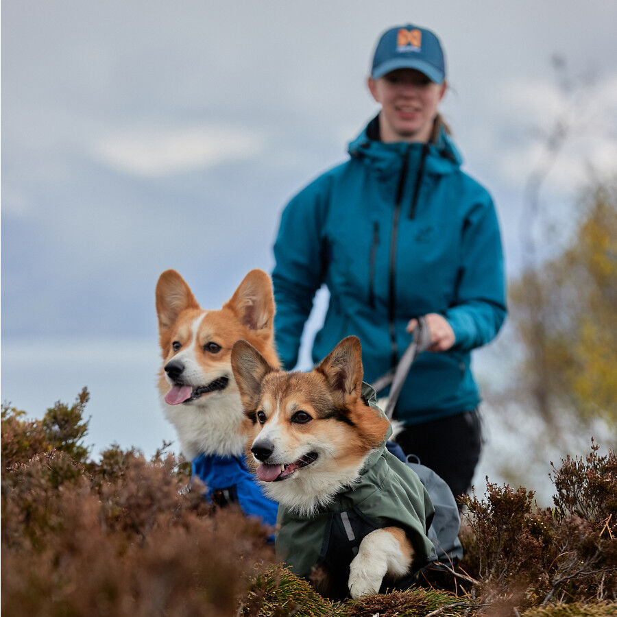 Non-stop dogwear Fjord Capa de chuva imperme&aacute;vel azul para c&atilde;es, , large Imagem n&uacute;mero 5
