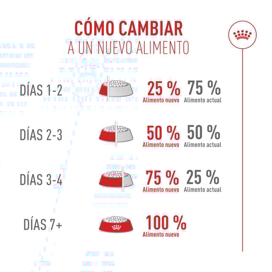 10 kg Royal Canin Fussy Exigent Ra&ccedil;&atilde;o de ave para gatos, , large Imagem n&uacute;mero 11