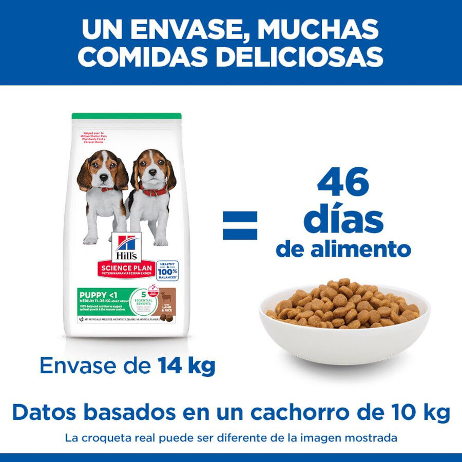 14 kg Hill's Science Plan Puppy Medium Ra&ccedil;&atilde;o de cordeiro e arroz para c&atilde;es, , large Imagem n&uacute;mero 6