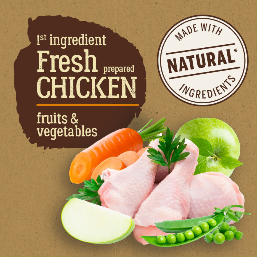 12 kg True Origins Pure Puppy Frango ra&ccedil;&atilde;o para c&atilde;es, , large Imagem n&uacute;mero 3