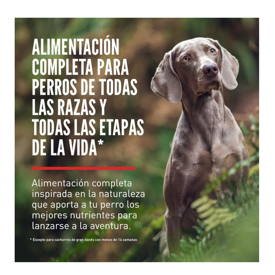 11 kg Orijen Six Fish Adult ra&ccedil;&atilde;o para c&atilde;es, , large Imagem n&uacute;mero 2