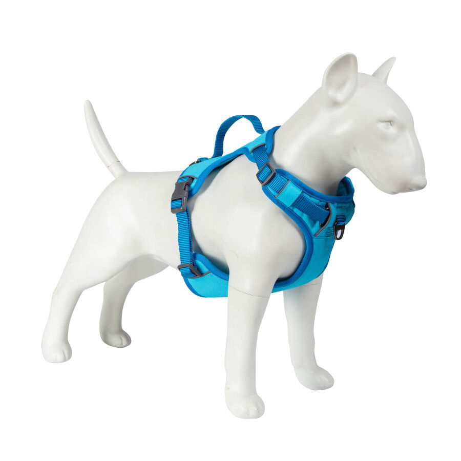 Freedog Cool Pro Tech Peitoral Azul para c&atilde;es, , large Imagem n&uacute;mero 10