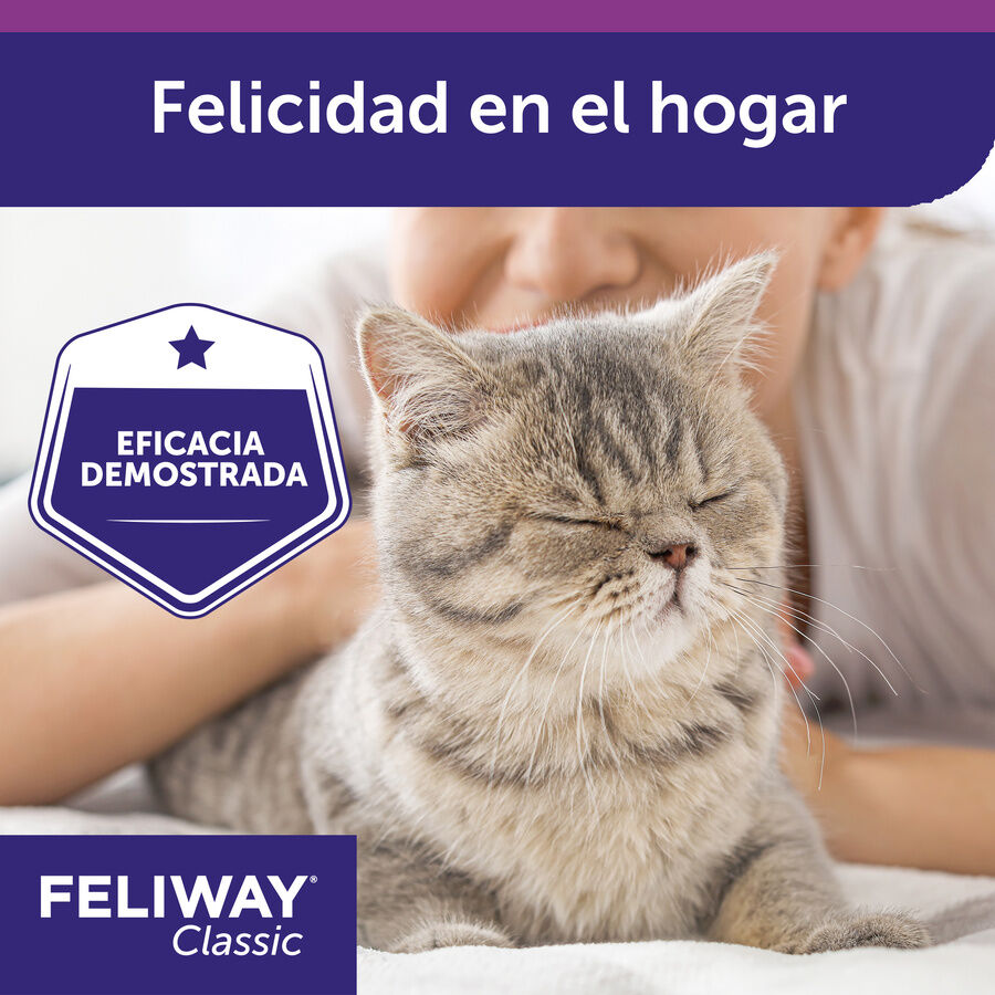 Feliway Classic Difusor e Recarga calmante para Gatos, , large Imagem n&uacute;mero 8