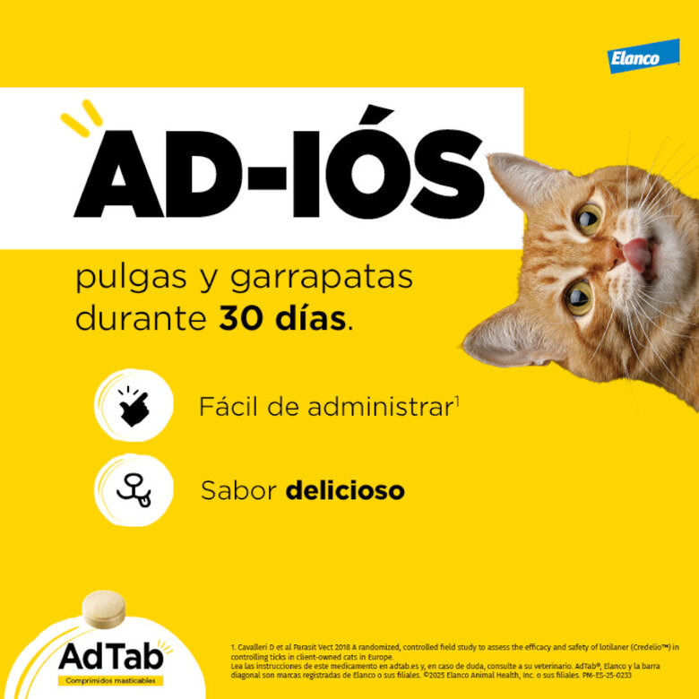AdTab Comprimidos mastigáveis antiparasitários para gatos,  Imagem número 7 AdTab Comprimidos mastigáveis antiparasitários para gatos, , large Imagem número 7