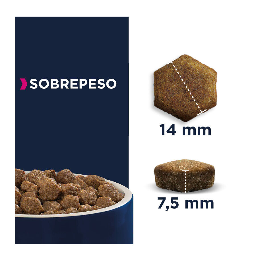 12 kg Eukanuba Adult Daily Care Overweight Sterilized para c&atilde;es, , large Imagem n&uacute;mero 2