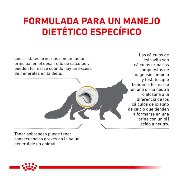 9 kg Royal Canin Veterinary Urinary Moderate Calorie ração para gatos ,  Imagem número 5 9 kg Royal Canin Veterinary Urinary Moderate Calorie ração para gatos , , large Imagem número 5