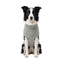 Gotoo Camisola de Malha Cinzenta para c&atilde;es, , large Indicador imagem n&uacute;mero 7