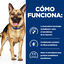 10 kg Hill's Prescription Diet Gastrointestinal Biome Frango ra&ccedil;&atilde;o para c&atilde;es, , large Indicador imagem n&uacute;mero 5