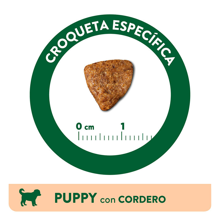 3 kg Affinity Libra Puppy Ra&ccedil;&atilde;o de cordeiro e arroz para c&atilde;es, , large Imagem n&uacute;mero 3