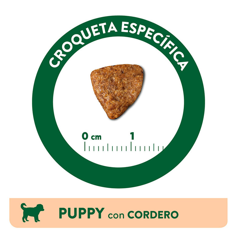 3 kg Affinity Libra Puppy Ração de cordeiro e arroz para cães,  Imagem número 3 3 kg Affinity Libra Puppy Ração de cordeiro e arroz para cães, , large Imagem número 3