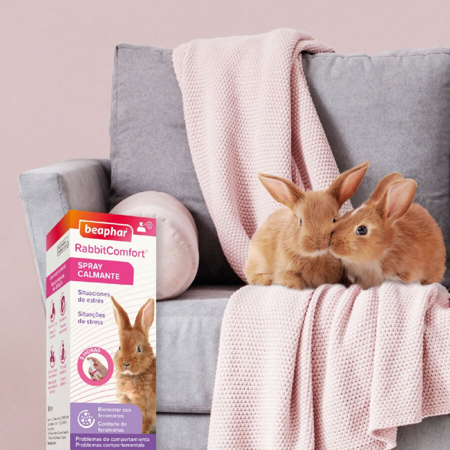 Beaphar Rabbitcomfort Spray tranquilizante para coelhos, , large Imagem n&uacute;mero 8