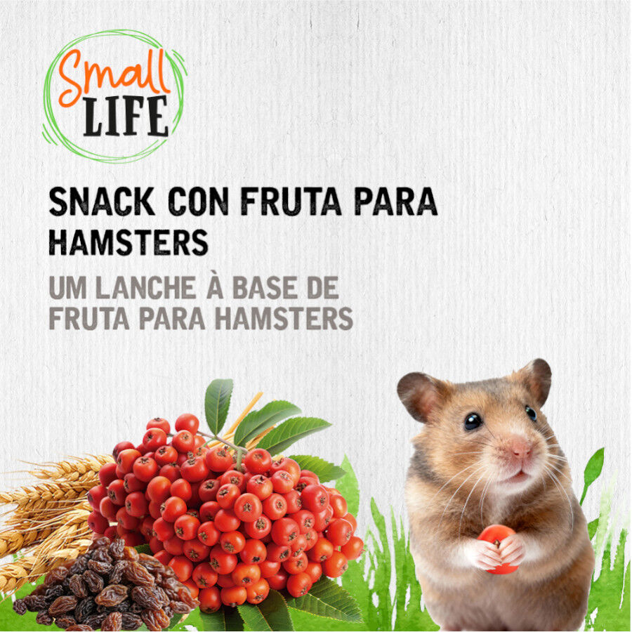 2 barritas Small Life Barritas Snack com Fruta para hamsters, , large Imagem n&uacute;mero 4