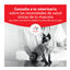 1.5 kg Royal Canin Veterinary Urinary S/O Moderate Calorie ra&ccedil;&atilde;o para gatos, , large Indicador imagem n&uacute;mero 3