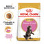 10 kg Royal Canin Kitten Maine Coon ração para gatinhos, , large Indicador imagem número 2