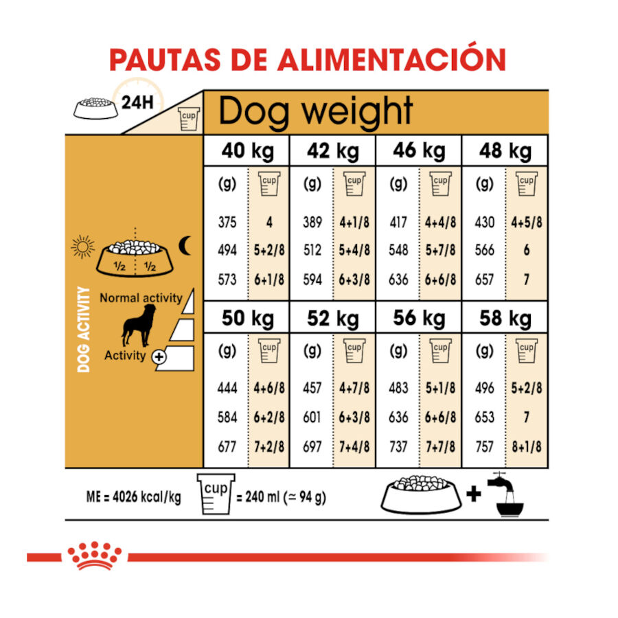 12 kg Royal Canin Adult Rottweiler ra&ccedil;&atilde;o para c&atilde;es, , large Imagem n&uacute;mero 7