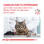 9 kg Royal Canin Veterinary Urinary Moderate Calorie ração para gatos , , large Indicador imagem número 9