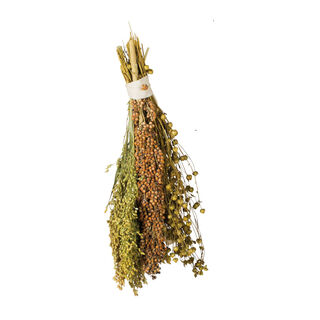 JR Farm Pick & Fly Ramalhete de Sementes para pássaros