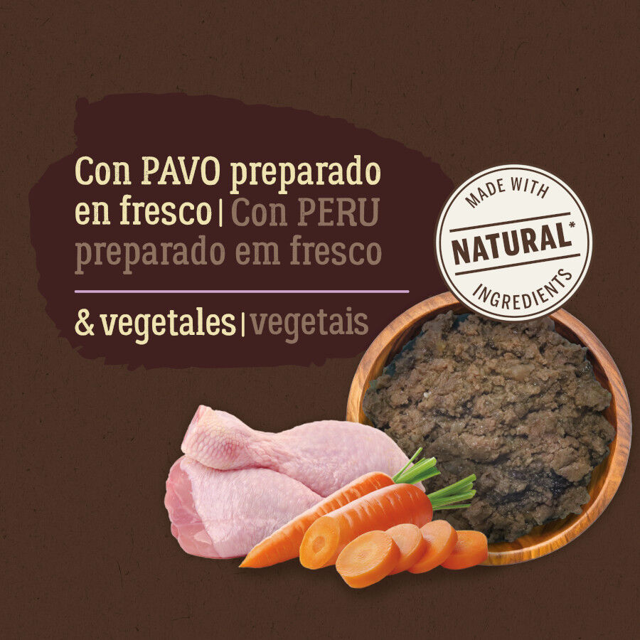 True Origins Pure Comida h&uacute;mida de peru com cenoura em saqueta para c&atilde;es , , large Imagem n&uacute;mero 3