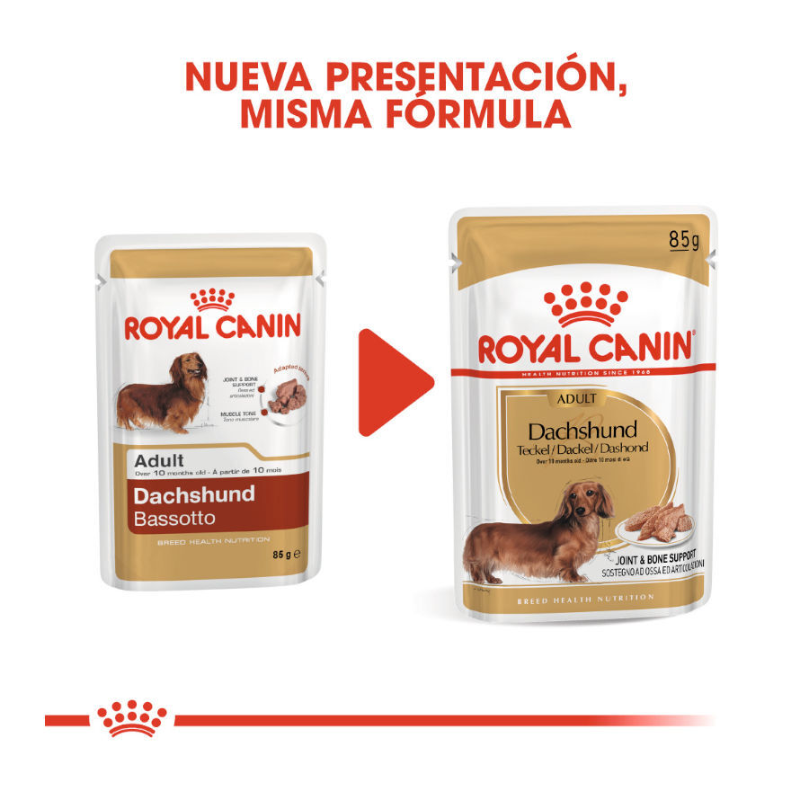 85 g Royal Canin Saquetas de Pat&ecirc; para Teckel, , large Imagem n&uacute;mero 3