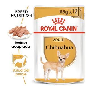 Royal Canin Adult Chihuahua patê em saquetas para cães