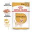 85 g Royal Canin Adult Chihuahua patê em saquetas para cães, , large Indicador imagem número 2