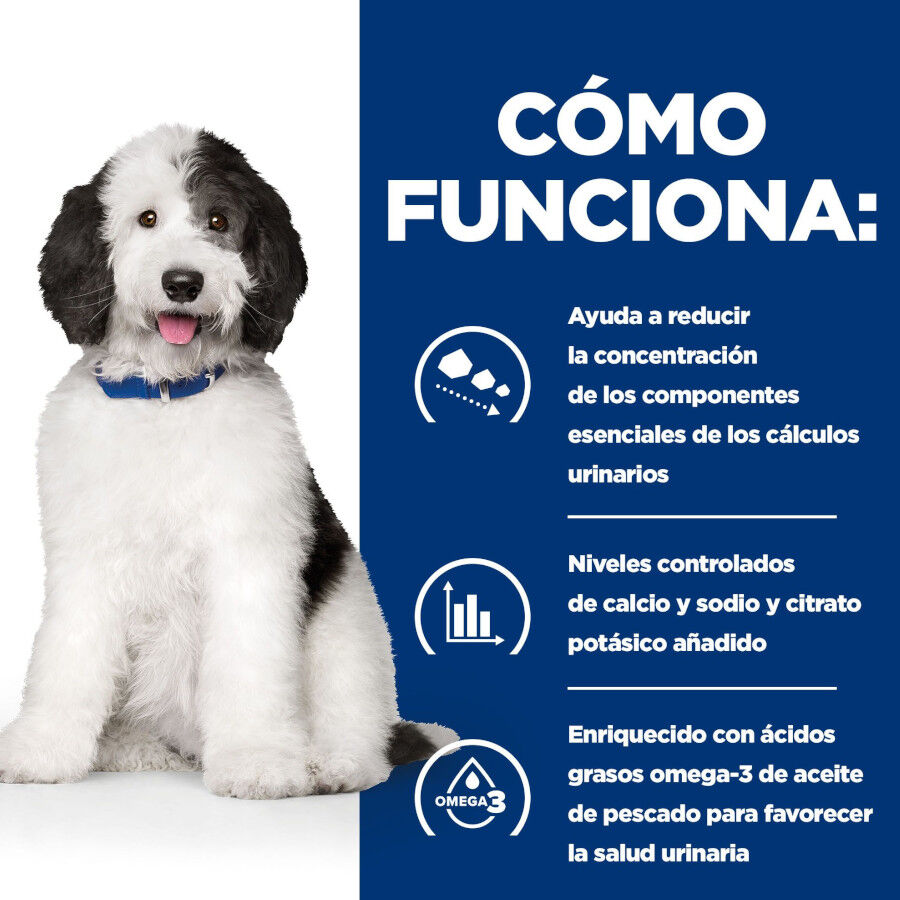12 kg Hill's Prescription Diet Urinary Care c/d Frango ra&ccedil;&atilde;o para c&atilde;es, , large Imagem n&uacute;mero 5