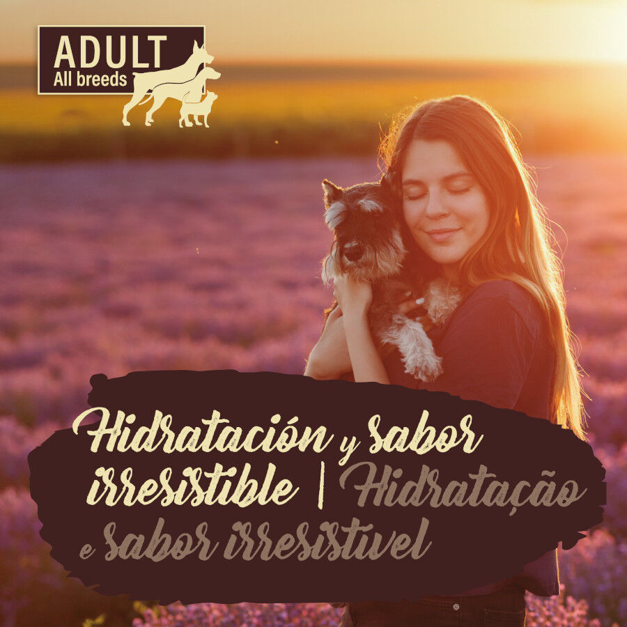 True Origins Pure Comida h&uacute;mida de frango e ab&oacute;bora para c&atilde;es , , large Imagem n&uacute;mero 4