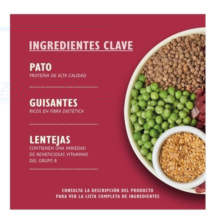 12 kg Lily's Kitchen Adult Veado e Pato ra&ccedil;&atilde;o para c&atilde;es, , large Imagem n&uacute;mero 2
