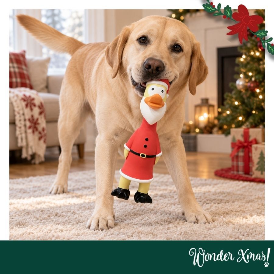 Wonder Christmas Frango L&aacute;tex Brinquedo para c&atilde;es, , large Imagem n&uacute;mero 2