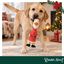 Wonder Christmas Frango L&aacute;tex Brinquedo para c&atilde;es, , large Indicador imagem n&uacute;mero 2