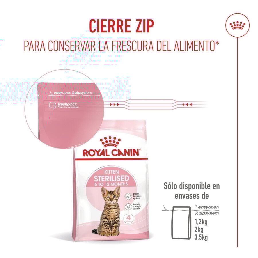 3.5 kg Royal Canin Kitten Sterilised ra&ccedil;&atilde;o para gatos , , large Imagem n&uacute;mero 12