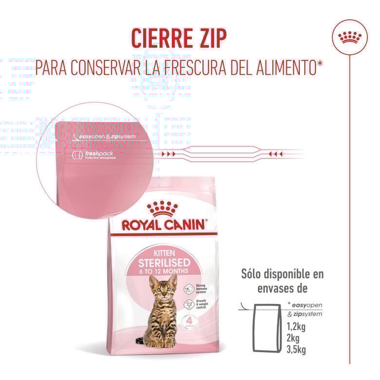 3.5 kg Royal Canin Kitten Sterilised ração para gatos ,  Imagem número 12 3.5 kg Royal Canin Kitten Sterilised ração para gatos , , large Imagem número 12