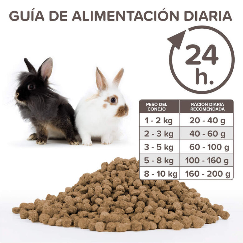 Beaphar Care+ ração para coelhos adultos super premium, , large image number null