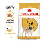Royal Canin Adult Carlino ração para cães, , large image number null